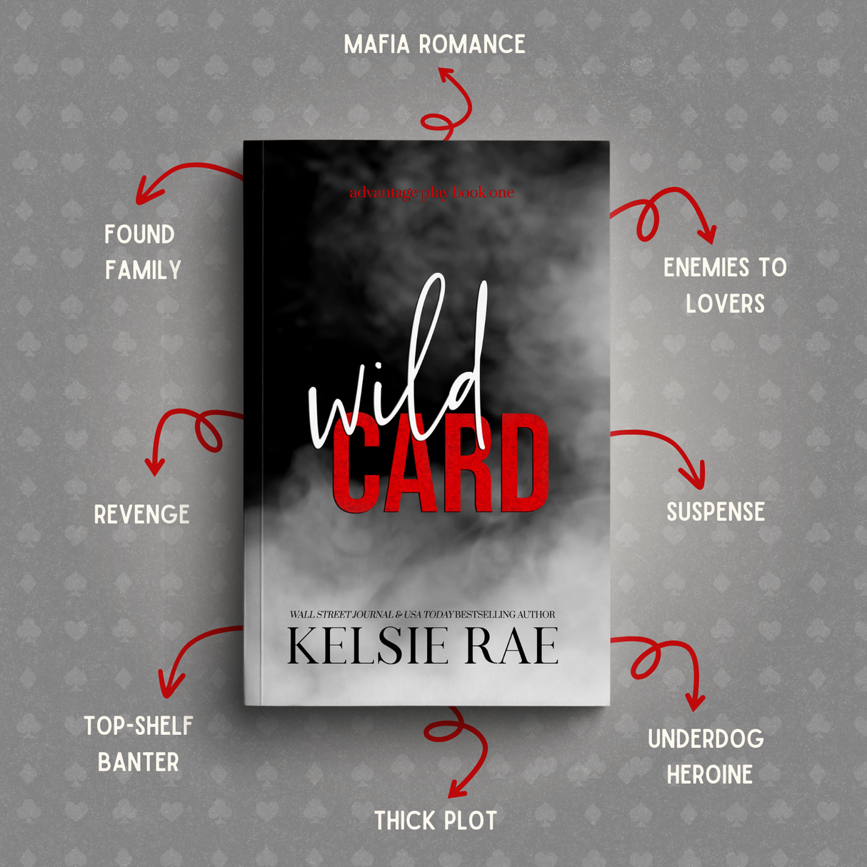 Advantage Play Series Paperback Bundle